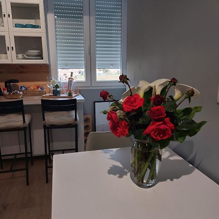 Apartamento Con Vistas A La Montana Oasis San Vicente de la Sonsierra Eksteriør billede