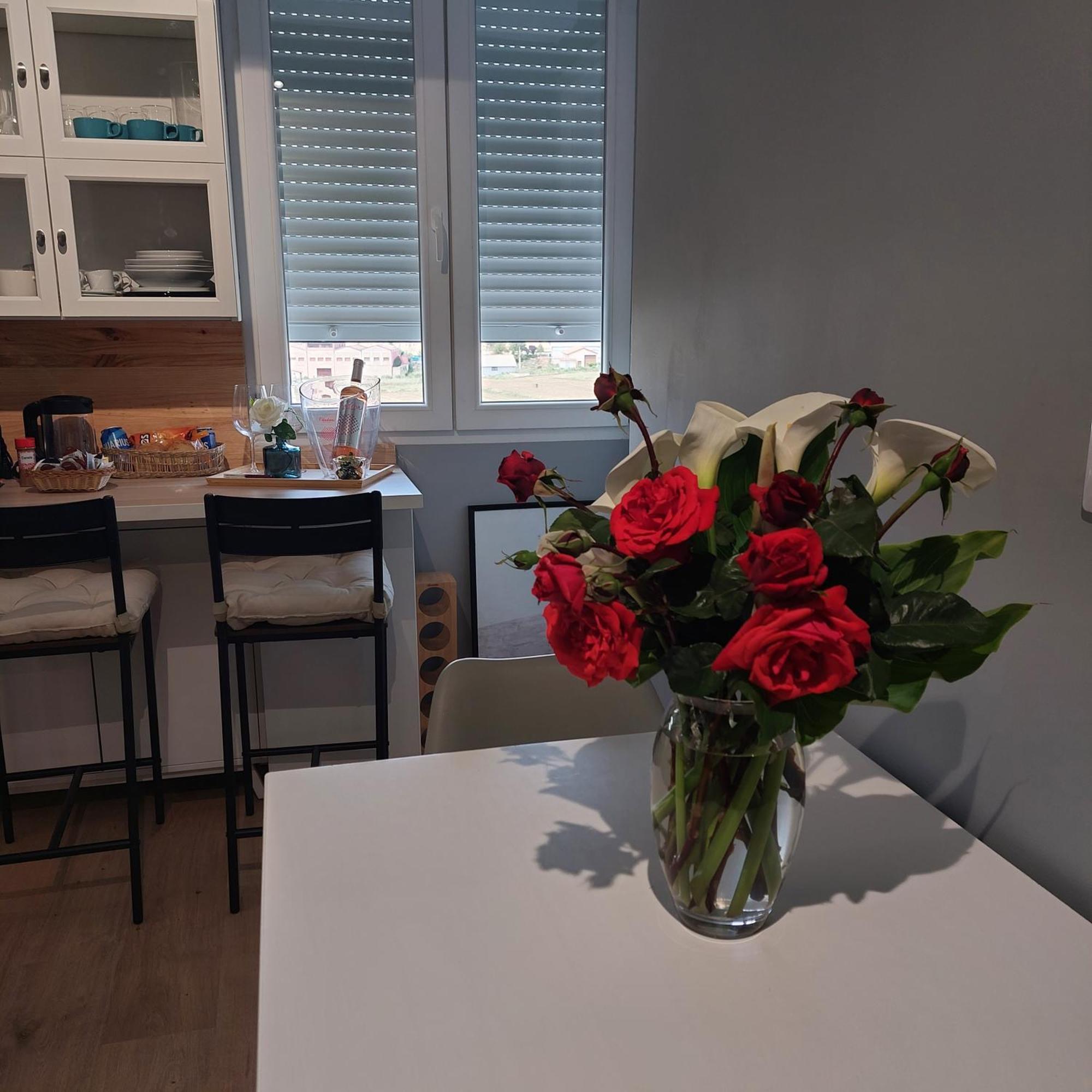 Apartamento Con Vistas A La Montana Oasis San Vicente de la Sonsierra Eksteriør billede